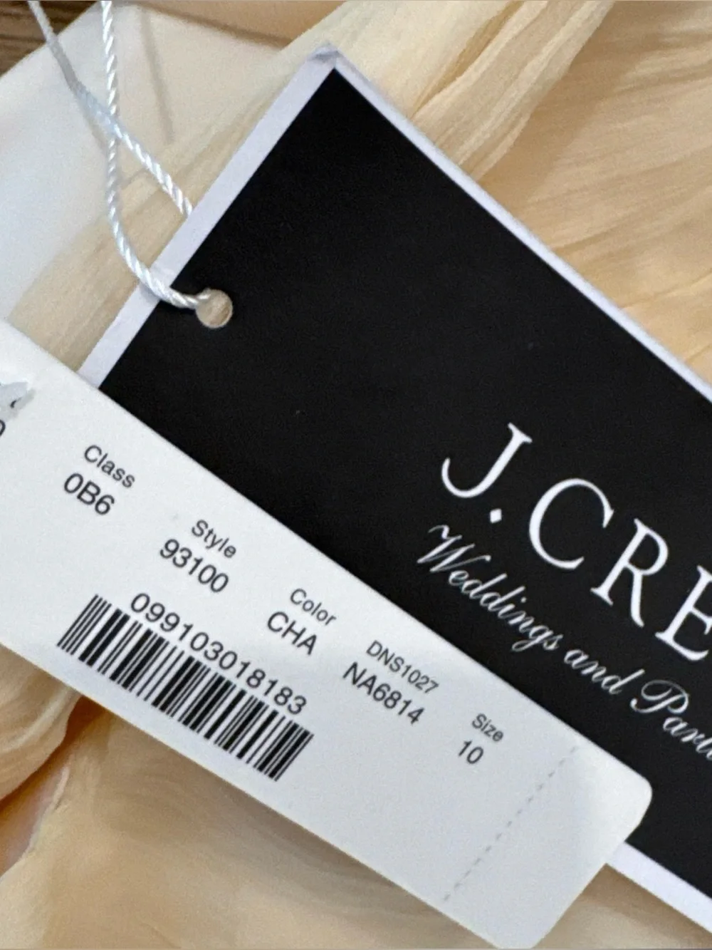 NWT J.Crew Silk Chiffon Bridesmaid Dress Champagne Pleated Size 10 Knee Length